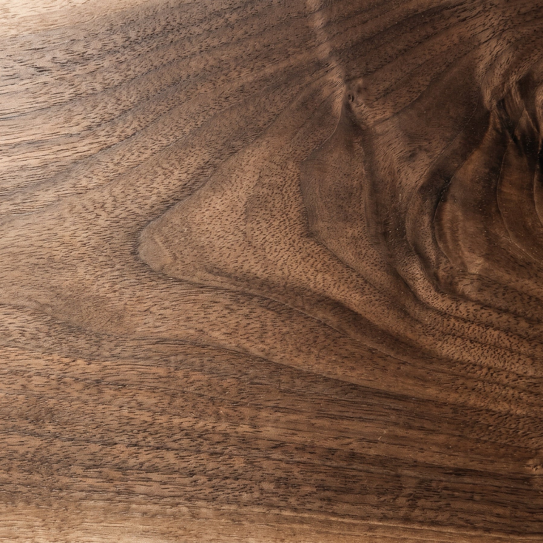 Black Walnut