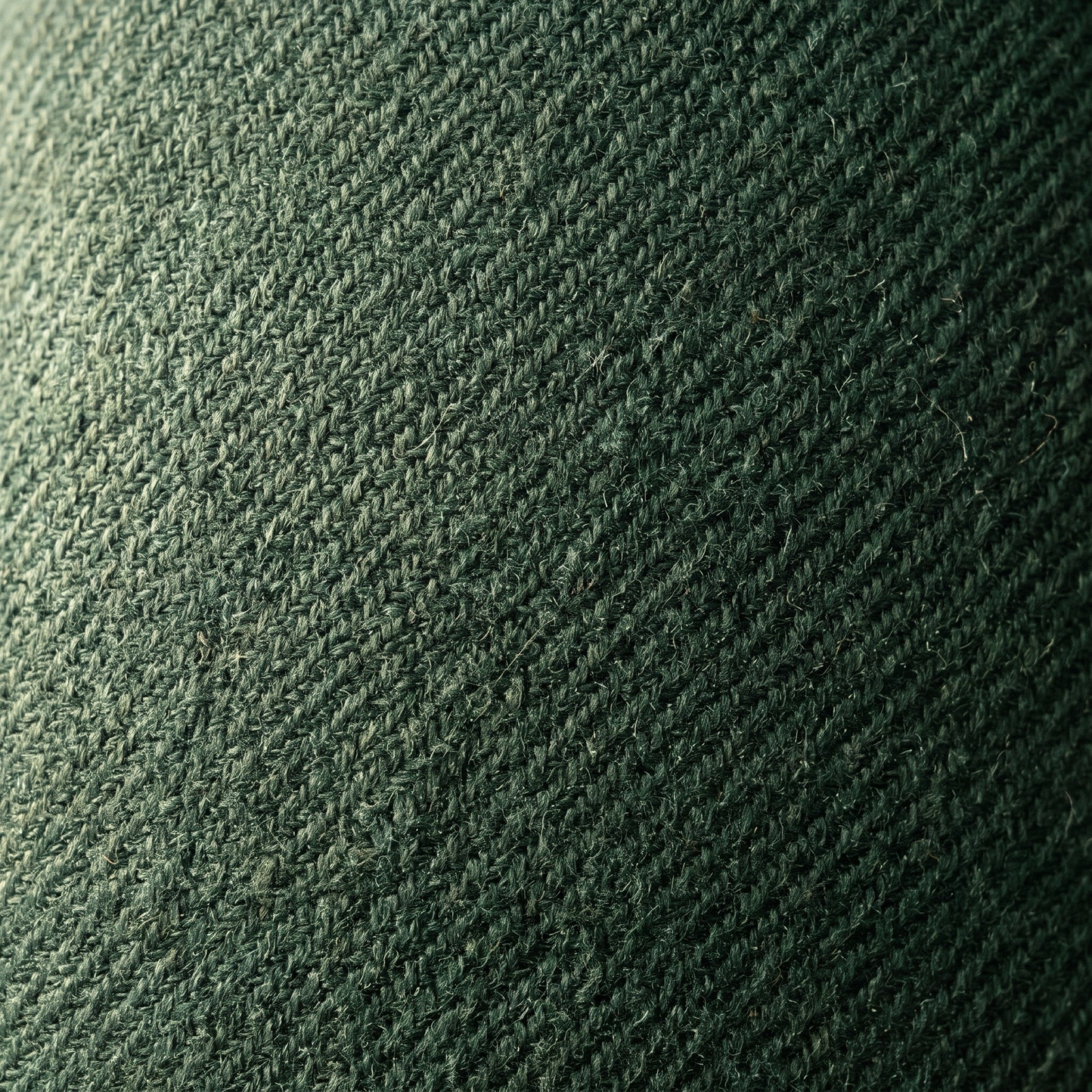 Forest Wool