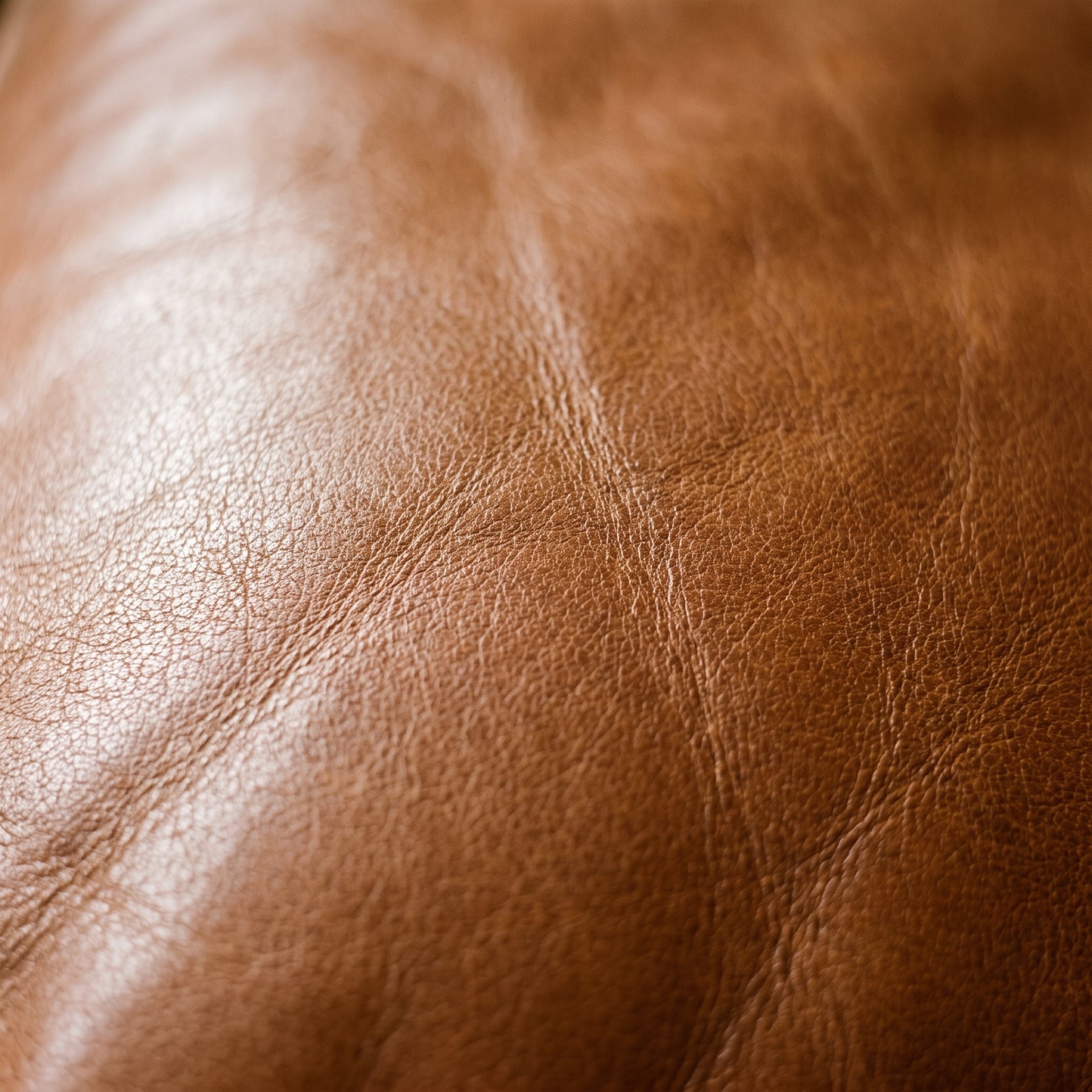 Close-up of cognac full-grain aniline leather